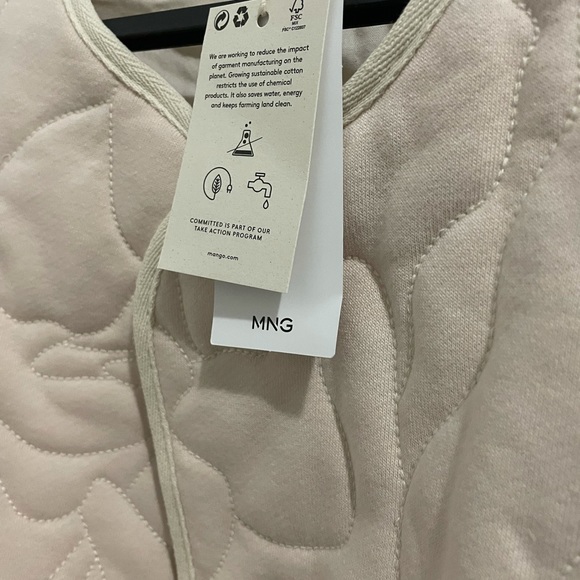 Mango - Picture 7 of 16